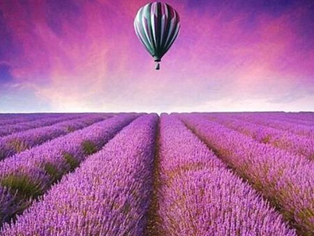 Special Order - Lavender Fields - Full Drill Diamond Painting - Specially ordered for you. Delivery is approximately 4 - 6 weeks. Fashion