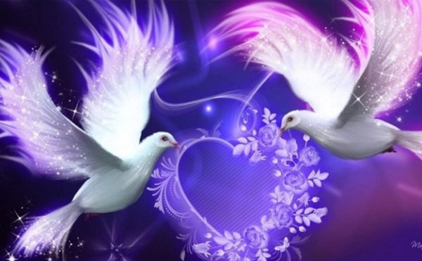 Special Order - Love Doves - Full Drill Diamond Painting - Specially ordered for you. Delivery is approximately 4 - 6 weeks. Online Sale