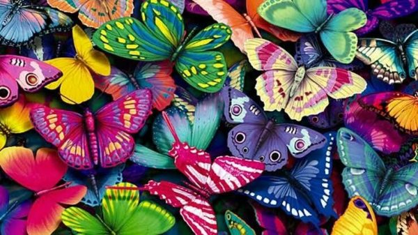 Special Order - Butterflies - Full Drill Diamond Painting - Specially ordered for you. Delivery is approximately 4 - 6 weeks. Fashion