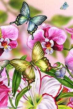 Special Order - Butterflies 02  - Full Drill Diamond Painting - Specially ordered for you. Delivery is approximately 4 - 6 weeks. For Cheap