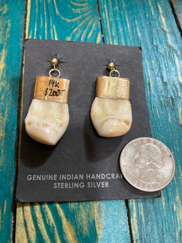 The 14k Gold Elk Ivory earrings. For Discount