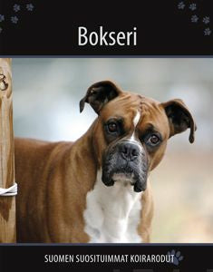 Bokseri on Sale