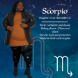 Zodiac Tights - Scorpio Online Hot Sale