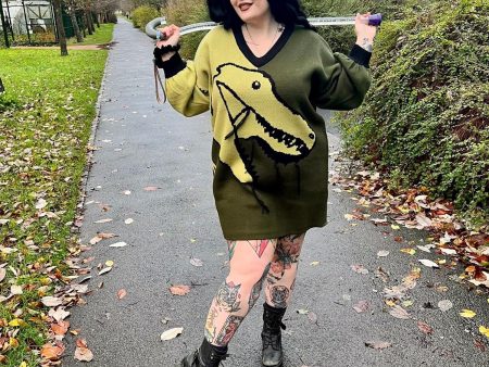 Dinosaur Jumper Dress - Rex Discount